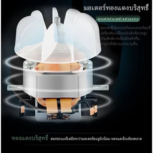 ไดร์ขนสุนัขและแมว - Image 3