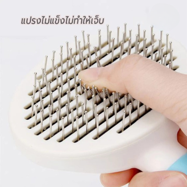 หวีแปรงขน Pet Brush - Image 3