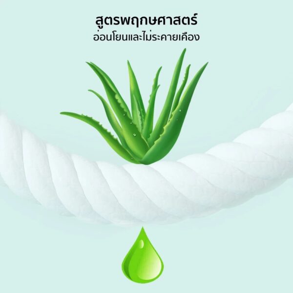แผ่นเช็ดตาสุนัขและแมว - Image 2