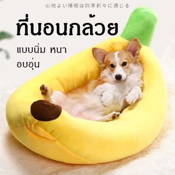 ที่นอนเบาะกล้วย