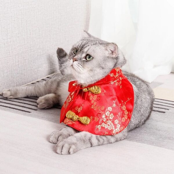 ชุดแมวตรุษจีน - Image 3