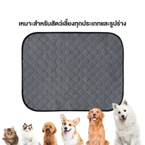 แผ่นรองฉี่สุนัข