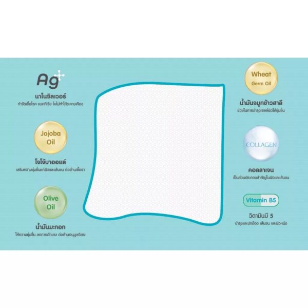Nano Power Pet Spa Wipes ผ้าเปียกเช็ดทำความสะอาด - Image 3