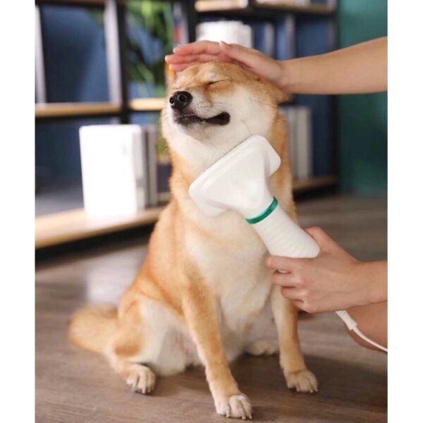 Pet Grooming Dryer หวีแปรงไดร์เป่าขนสัตว์เลี้ยง
