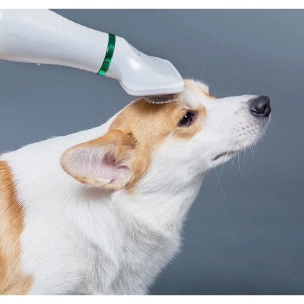 Pet Grooming Dryer หวีแปรงไดร์เป่าขนสัตว์เลี้ยง - Image 3