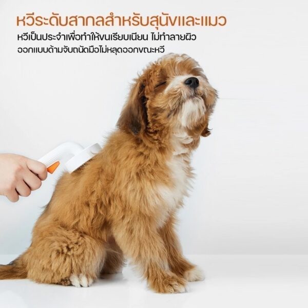 หวีสางขนสัตว์เลี้ยงแปรงโค้งหัวเข็ม - Image 4
